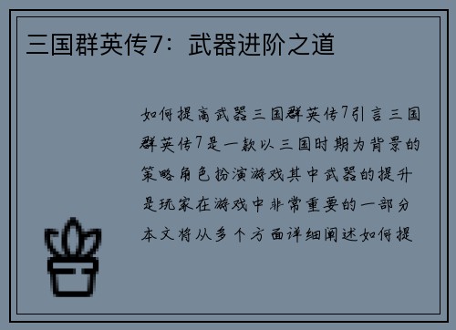 三国群英传7：武器进阶之道